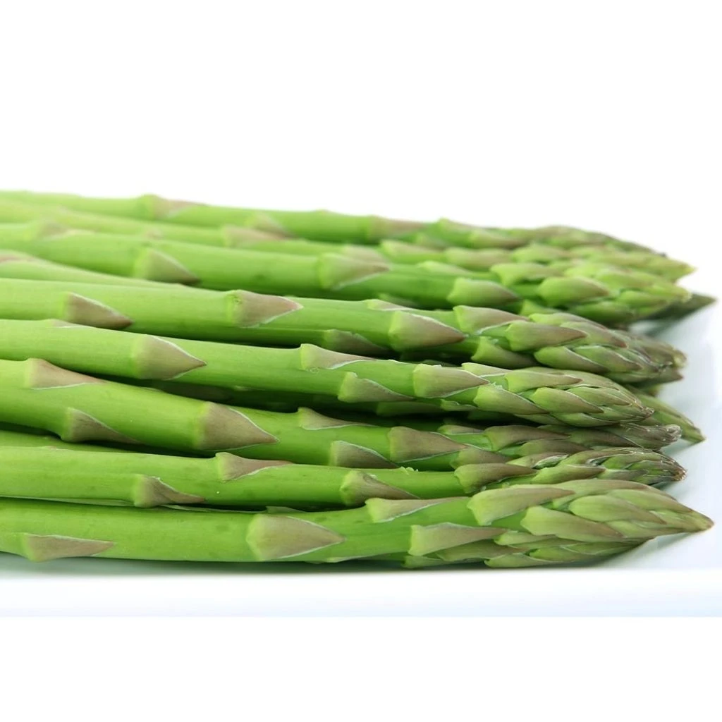 Asperge Voltaire En Griffes - Asparagus Officinalis 3 Asperge Voltaire En Griffes - Asparagus Officinalis