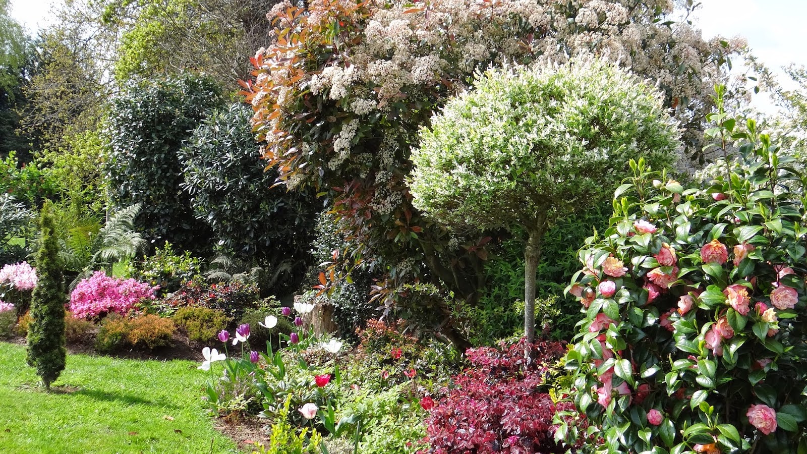 Plantes De Jardin -Plantes De Jardin massif plaisant c3a0 regarder crc3a9dit photo